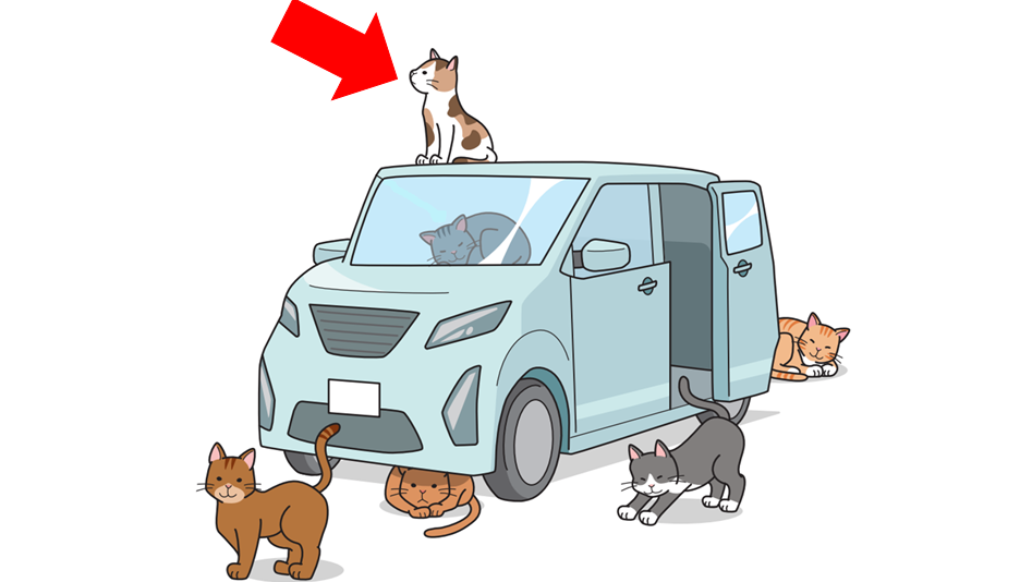 絵カード_入門＿第14課 កាតរូបភាពកម្រិតដំបូងមេរៀនទី១៤